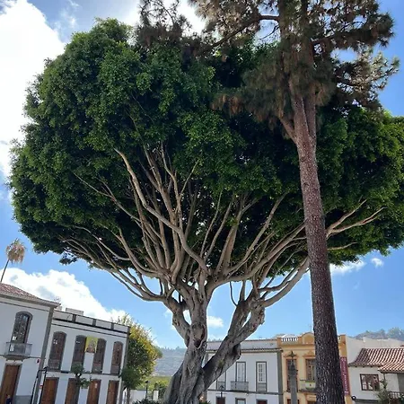 Casa En Centrica Turismo De Ciudad Y Bosques Apartman *
